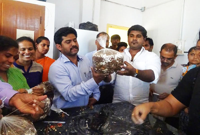 ಬ್ರಹ್ಮಾವರ: ಅಣಬೆ ಬೇಸಾಯ ತರಬೇತಿ